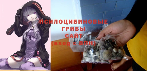 экстази Алексин