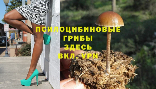 экстази Алексин