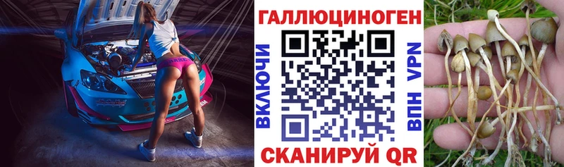 Псилоцибиновые грибы GOLDEN TEACHER  Углич 