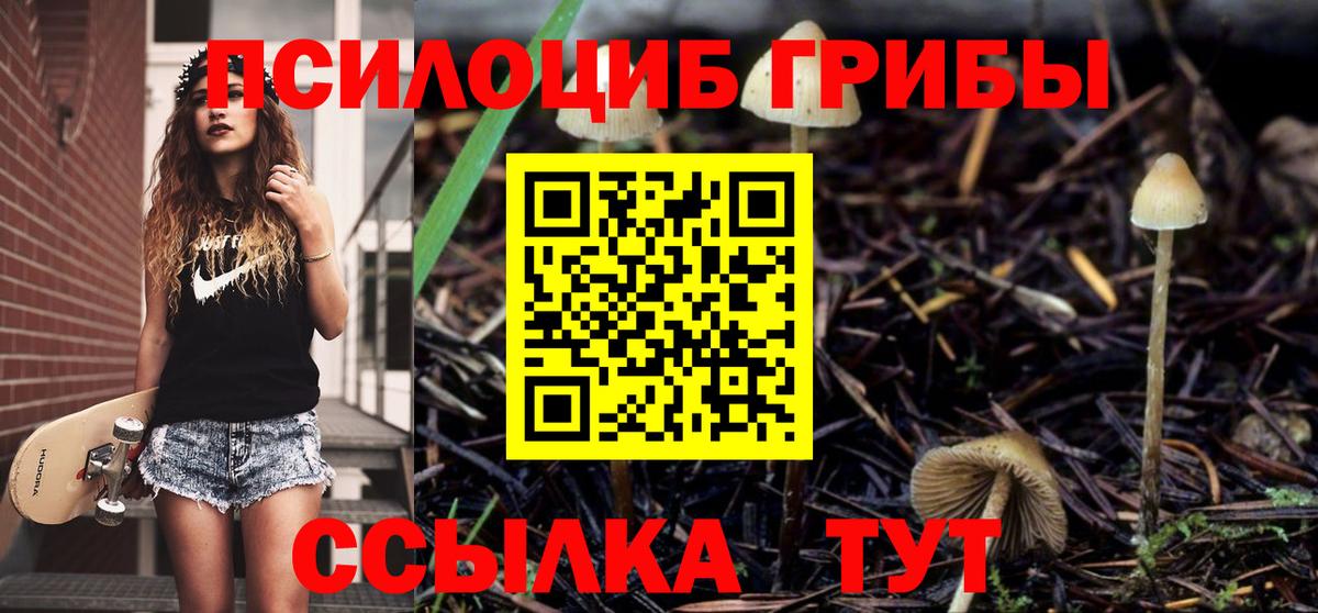 Галлюциногенные грибы Cubensis Углич