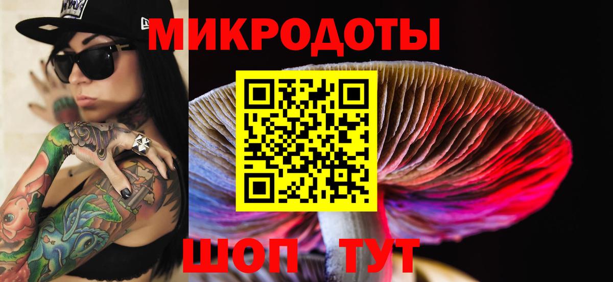 Псилоцибиновые грибы MAGIC MUSHROOMS  Галлюциногенные грибы Cubensis  наркотики  Углич  Вход с VPN 
